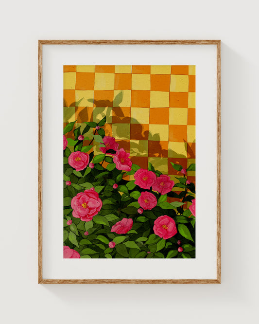 Camellia