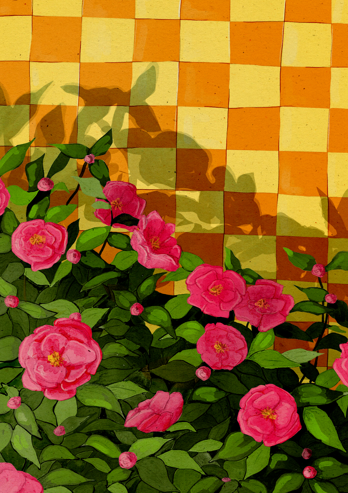 Camellia
