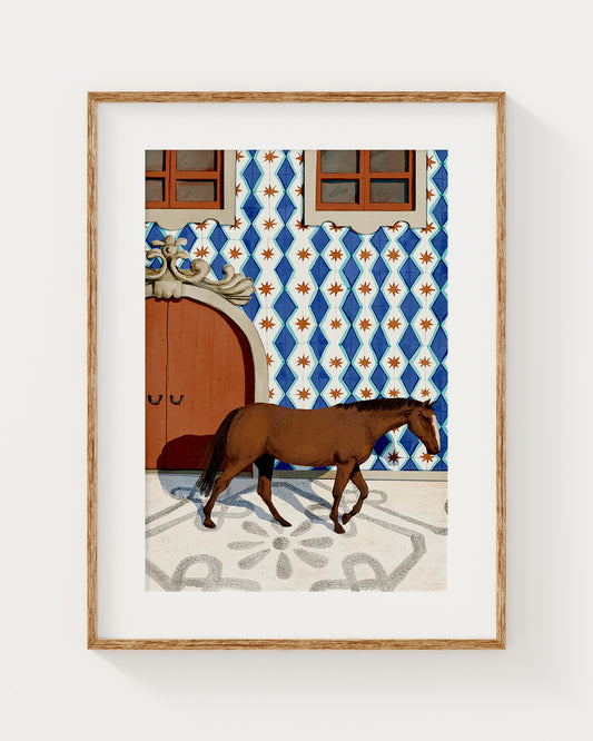 Lusitano