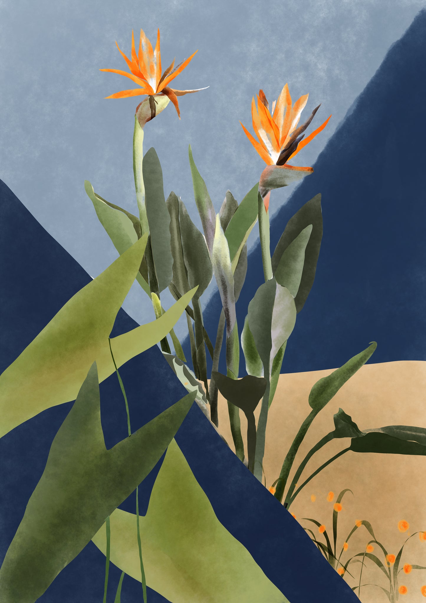 Growing Flowers