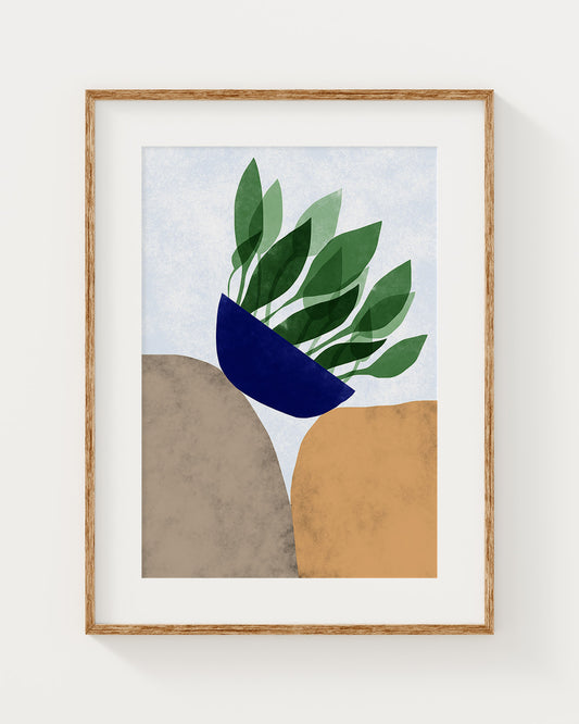Plant Between Rocks