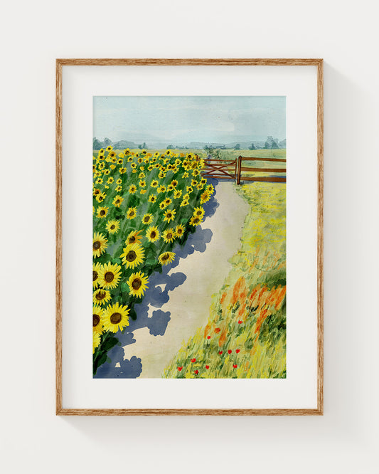 Sunflower Field 1