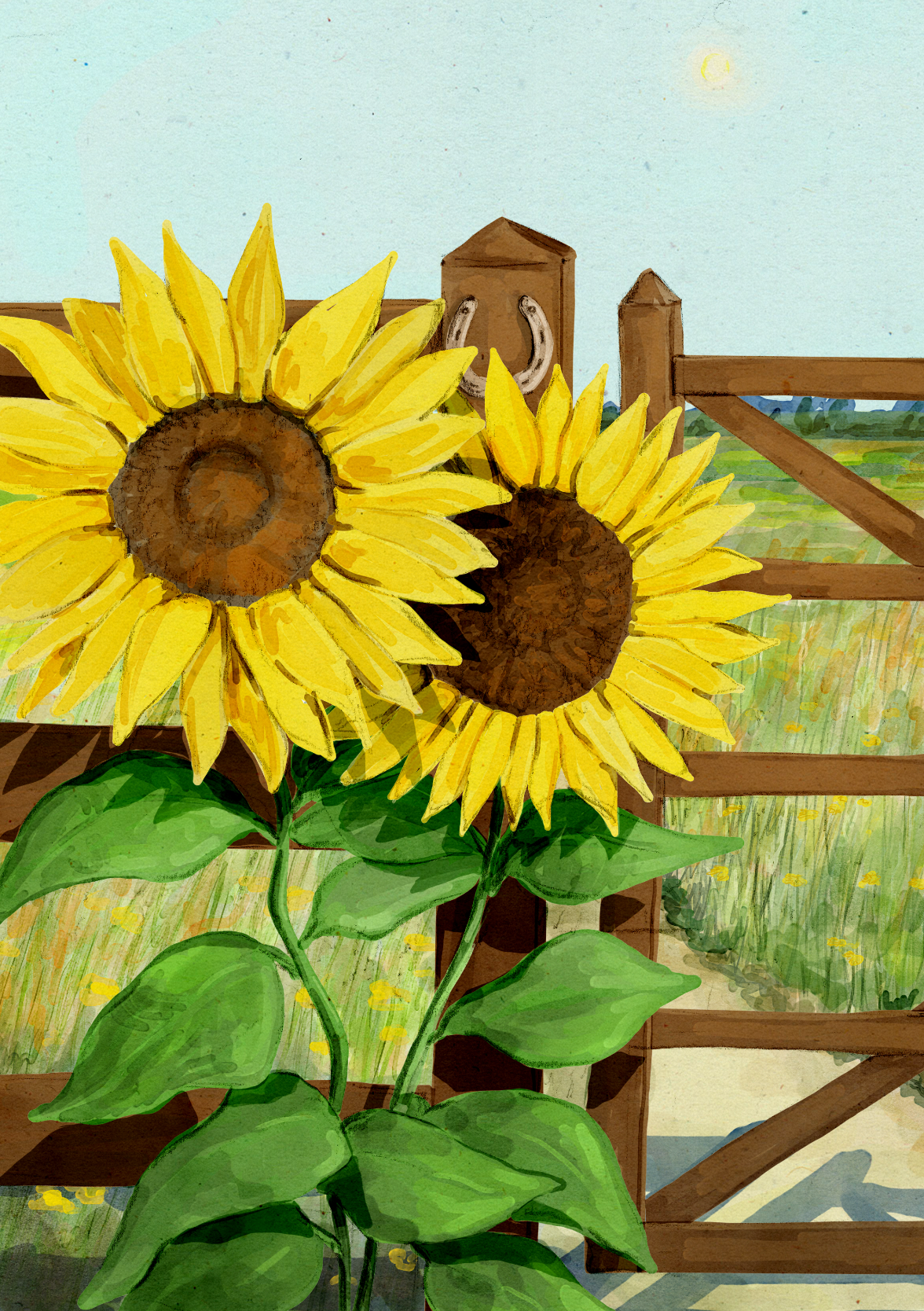 Sunflower Field 2